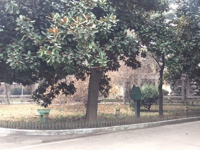 校内环境-01